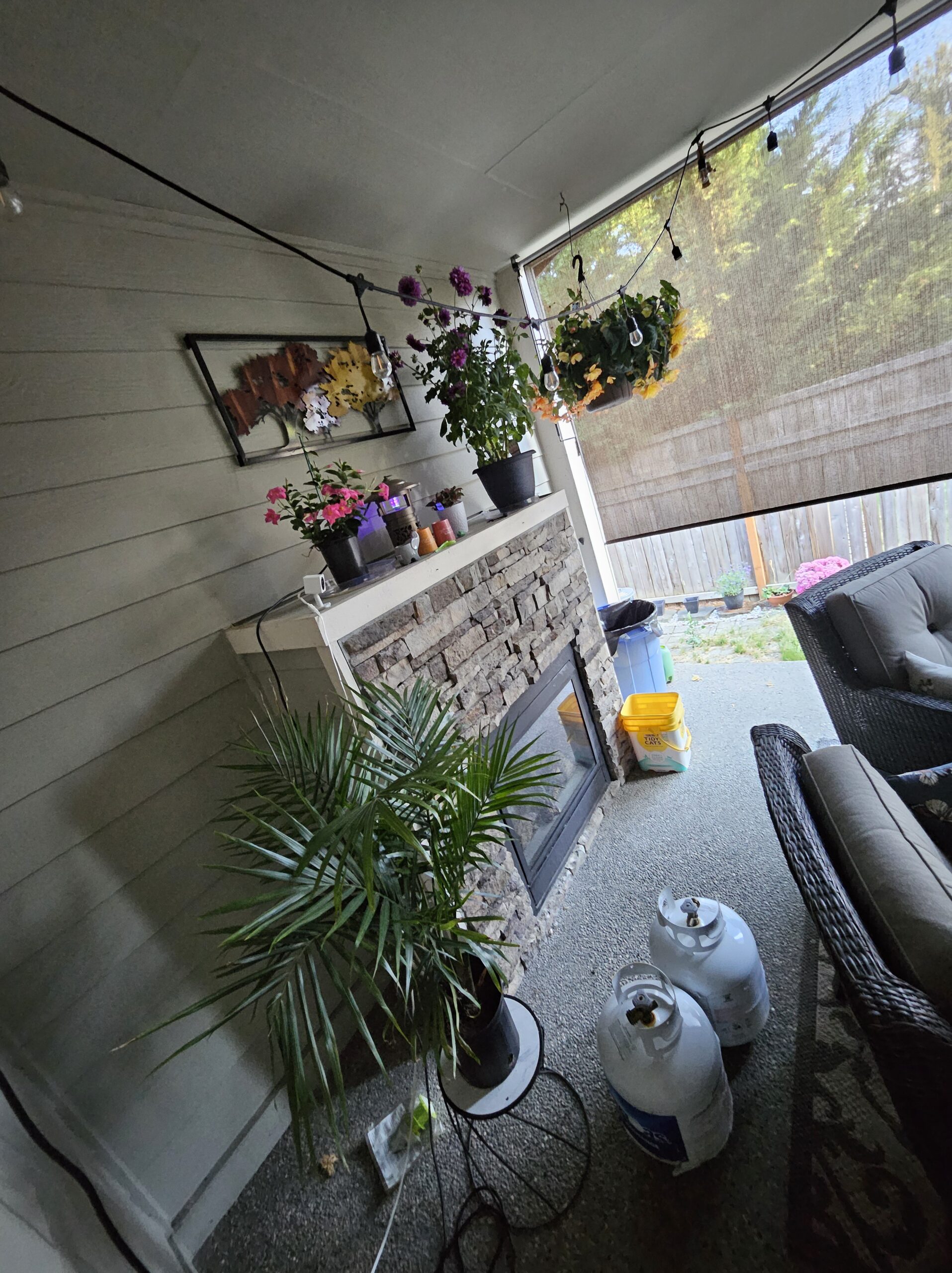 The Triump….tryumph… Successful Return to Top Dead Center!