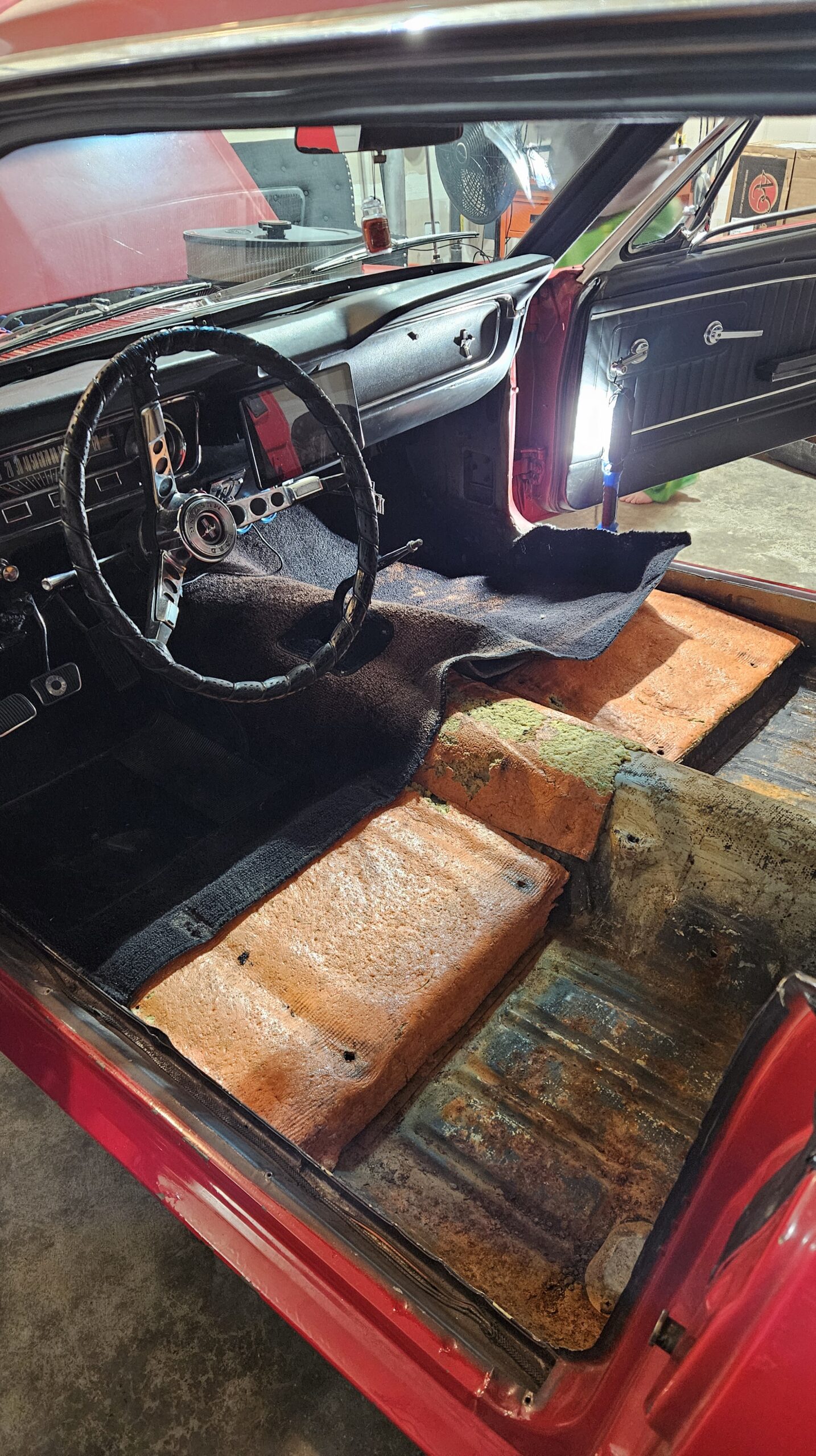 Car Carpets Conceal Rust, Regret, Rodent Relics